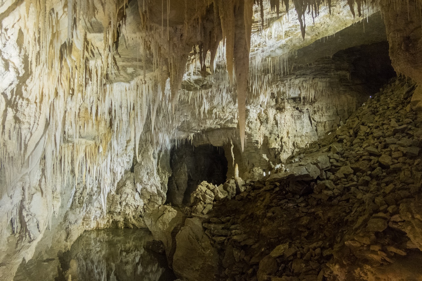 Waipu Caves - Waipu Attractions