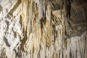 Waipu And Waitomo : The Kiwis’ Magical Caves! - I Wheel Travel